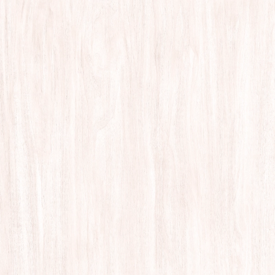 PISO ‘A’ REF. VULCAN PLUS RETIFICADO 62X62 FIORANNO